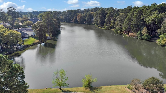 view of water feature