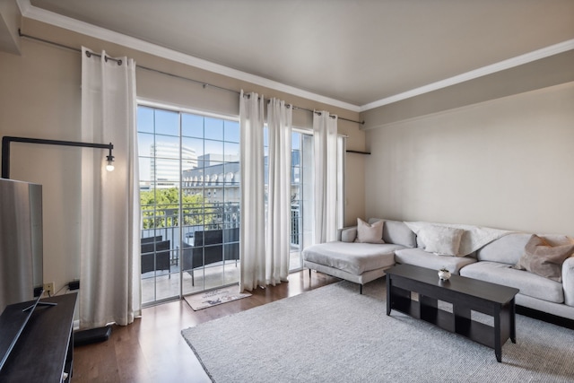 living room featuring dark hardwood / wood-style floors and crown molding