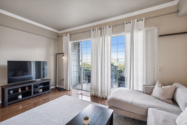 living room with dark wood-type flooring and crown molding