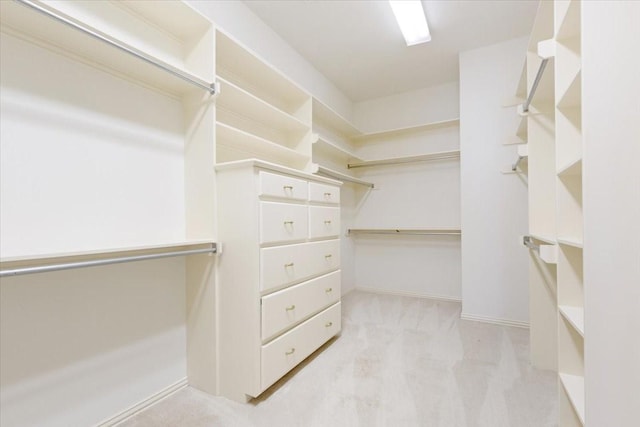 spacious closet featuring light colored carpet