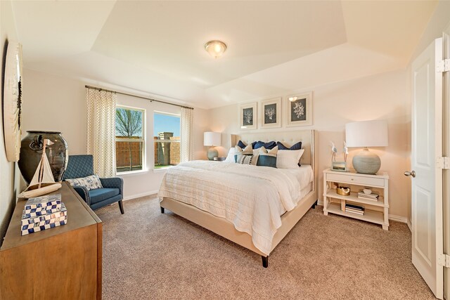 carpeted bedroom featuring a raised ceiling