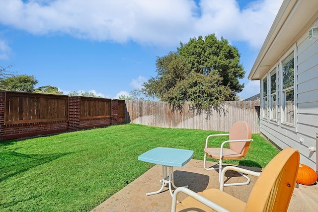 view of yard featuring a patio area