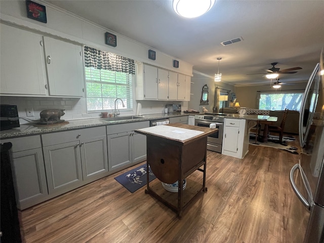 kitchen with a wealth of natural light, hardwood / wood-style floors, sink, kitchen peninsula, and stainless steel appliances