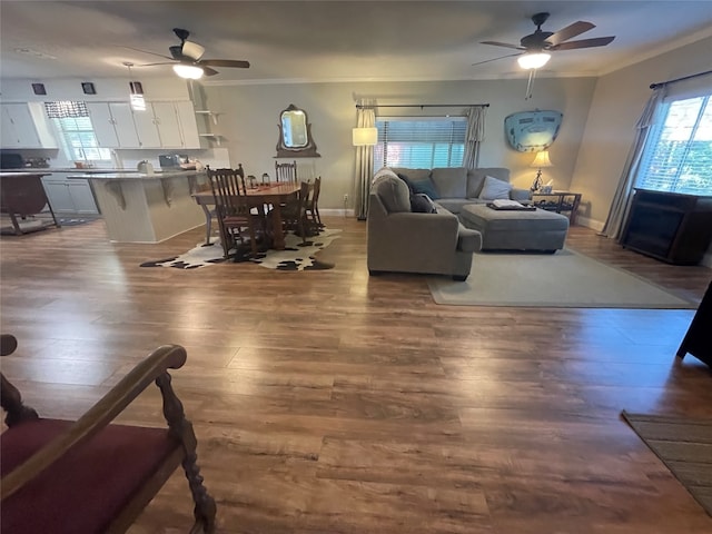 living room featuring dark hardwood / wood-style flooring, crown molding, and ceiling fan