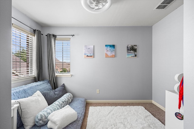 sitting room with carpet