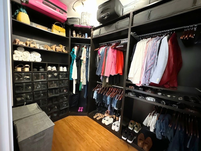 spacious closet featuring wood-type flooring