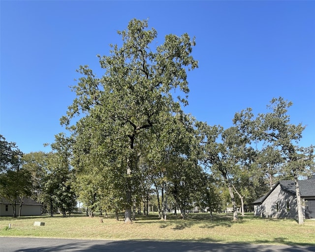 245 Saint Andrews Dr, Mabank TX, 75156 land for sale