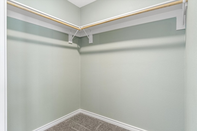 walk in closet featuring carpet floors