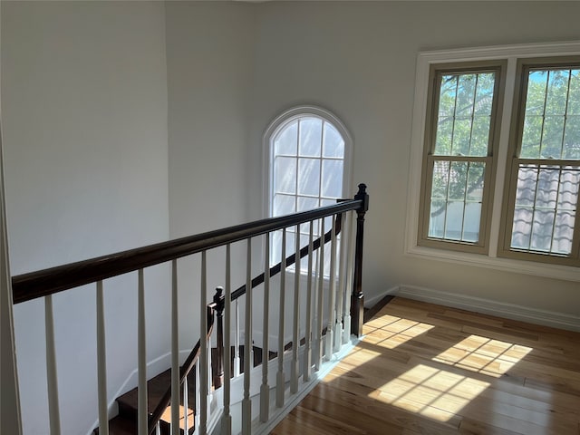 stairway featuring wood-type flooring