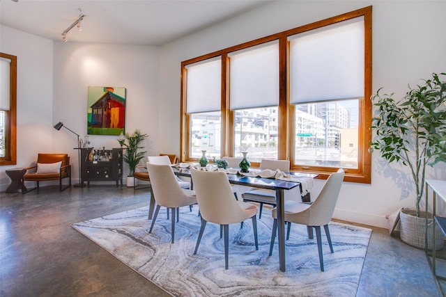 dining space with rail lighting