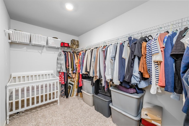 walk in closet with carpet floors