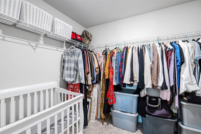 walk in closet with carpet flooring