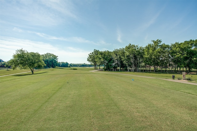 view of home's community with a yard