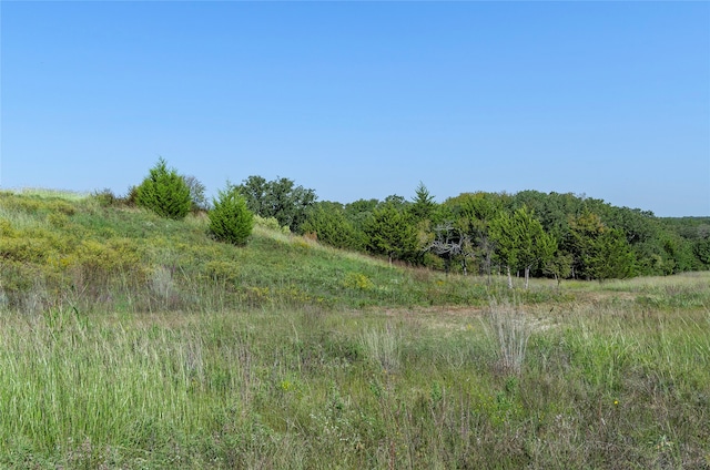 110 Pringle Ct, Alvord TX, 76225 land for sale