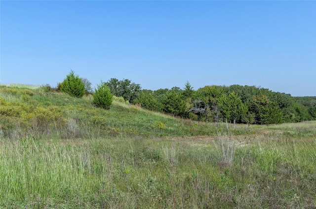 110 Pringle Ct, Alvord, TX 76225