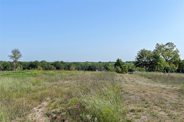 110 Pringle Ct, Alvord, TX 76225