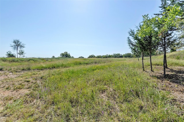 110 Pringle Ct, Alvord, TX 76225