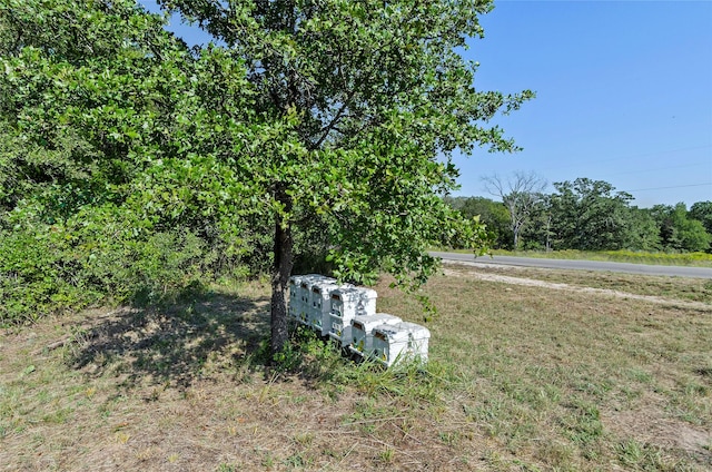 110 Pringle Ct, Alvord, TX 76225