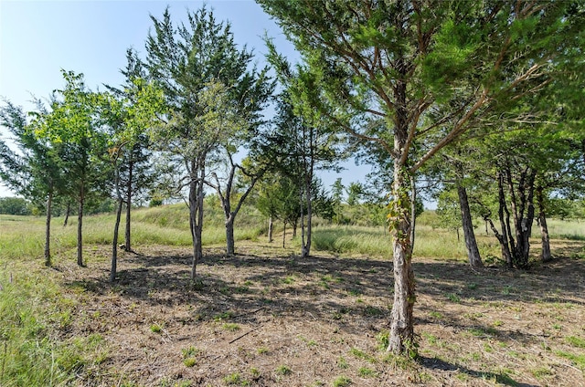 110 Pringle Ct, Alvord, TX 76225