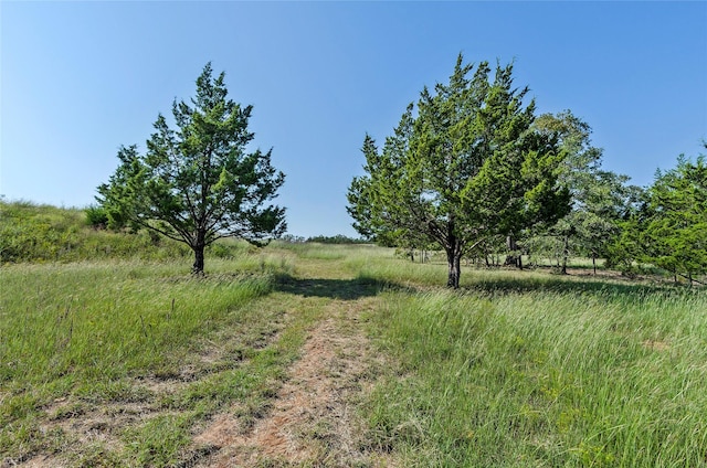 110 Pringle Ct, Alvord, TX 76225