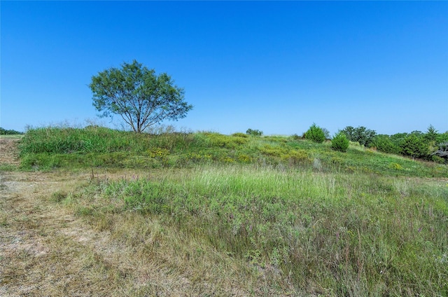 110 Pringle Ct, Alvord, TX 76225