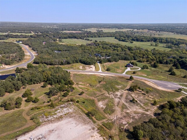110 Pringle Ct, Alvord, TX 76225