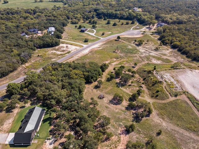 110 Pringle Ct, Alvord, TX 76225
