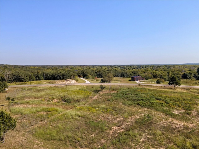 110 Pringle Ct, Alvord, TX 76225
