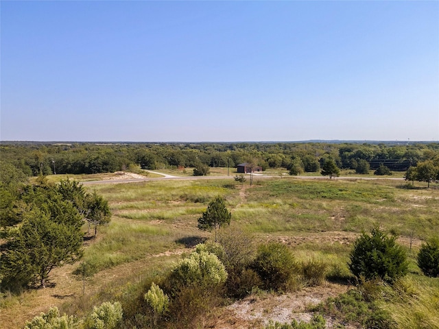 110 Pringle Ct, Alvord, TX 76225