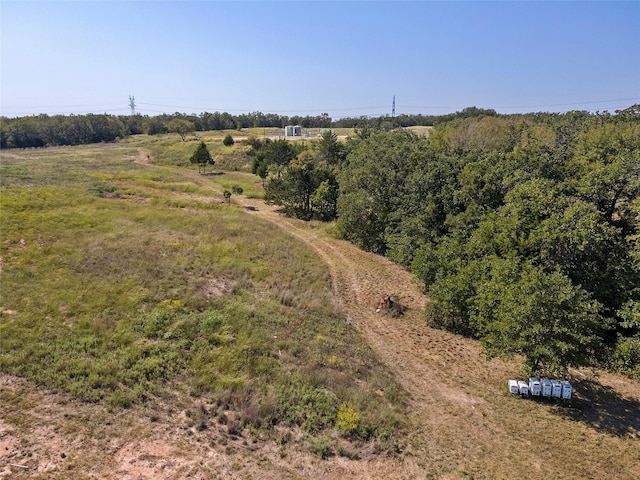 110 Pringle Ct, Alvord, TX 76225
