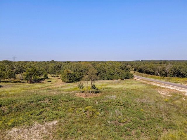 110 Pringle Ct, Alvord, TX 76225