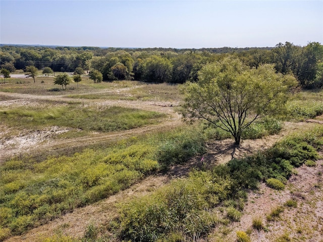 110 Pringle Ct, Alvord, TX 76225