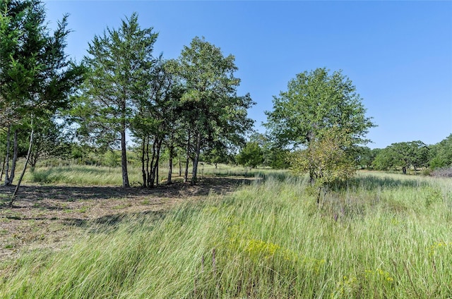 110 Pringle Ct, Alvord, TX 76225