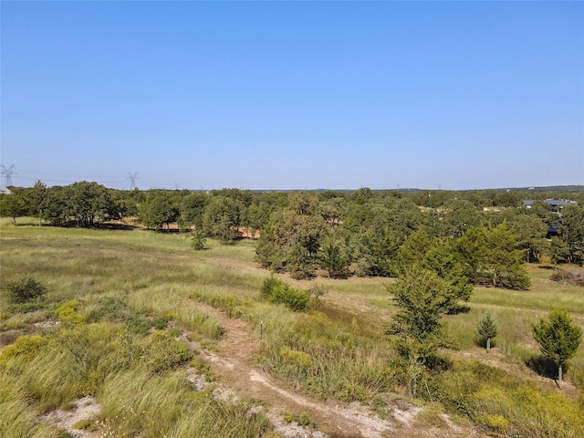 110 Pringle Ct, Alvord, TX 76225