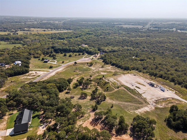 110 Pringle Ct, Alvord, TX 76225