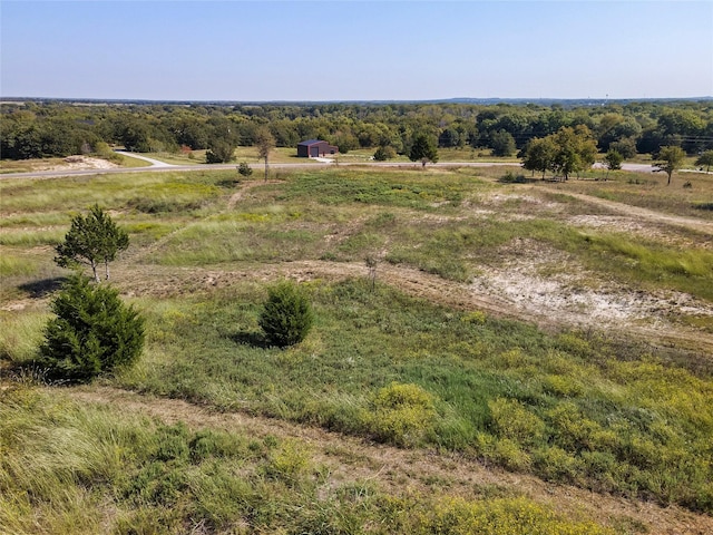 110 Pringle Ct, Alvord, TX 76225