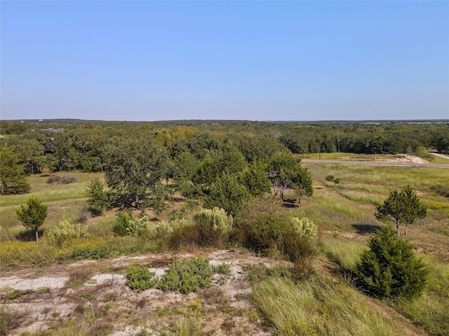 110 Pringle Ct, Alvord, TX 76225