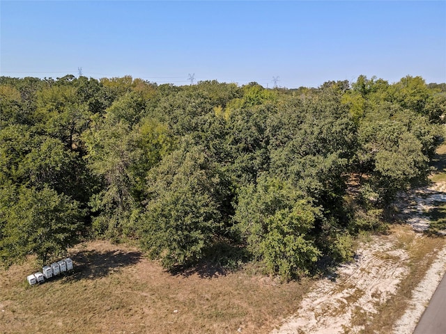 110 Pringle Ct, Alvord, TX 76225