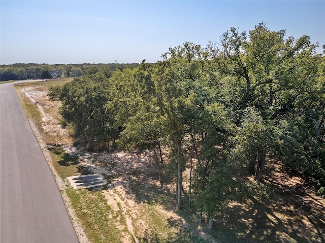 110 Pringle Ct, Alvord, TX 76225