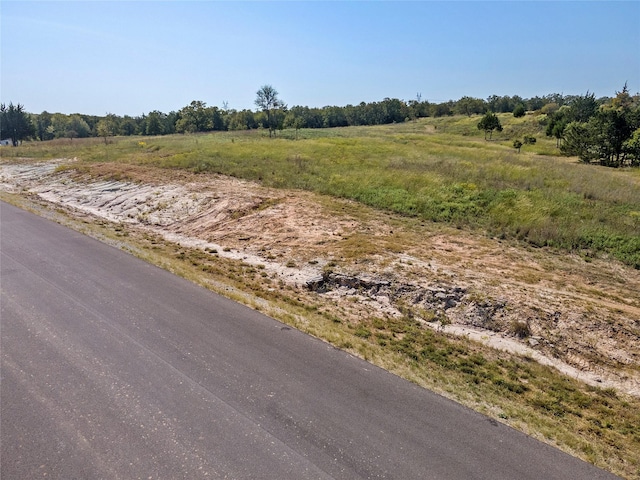 110 Pringle Ct, Alvord, TX 76225