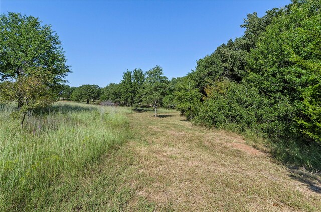110 Pringle Ct, Alvord, TX 76225