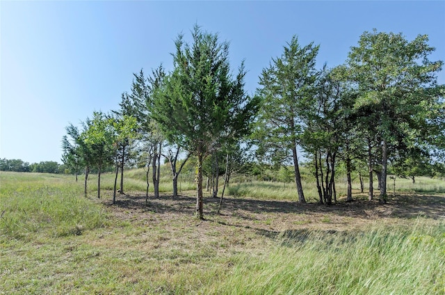 110 Pringle Ct, Alvord, TX 76225