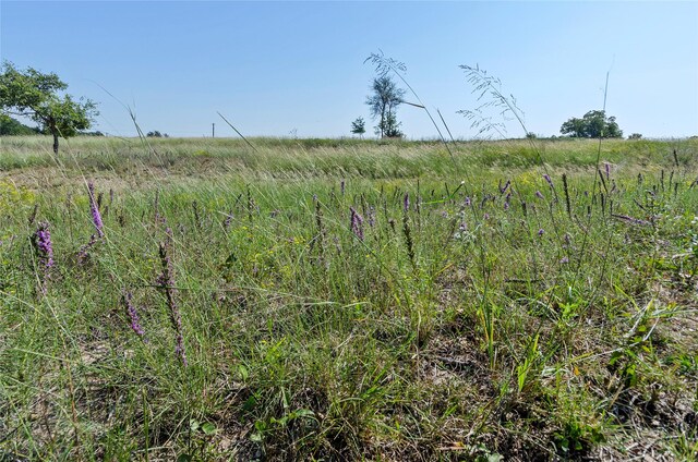 110 Pringle Ct, Alvord, TX 76225