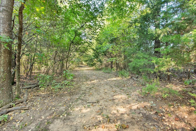 view of nature featuring a forest view