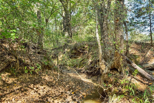 view of local wilderness with a view of trees