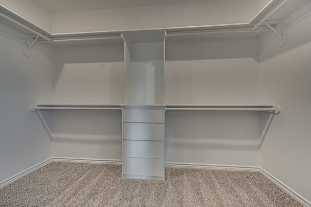 spacious closet featuring carpet flooring