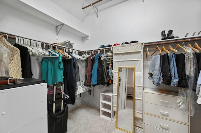 spacious closet with carpet