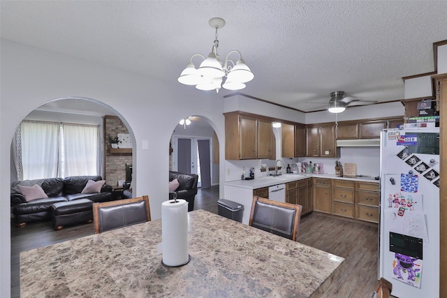 kitchen featuring pendant lighting, white appliances, ceiling fan with notable chandelier, dark hardwood / wood-style flooring, and sink