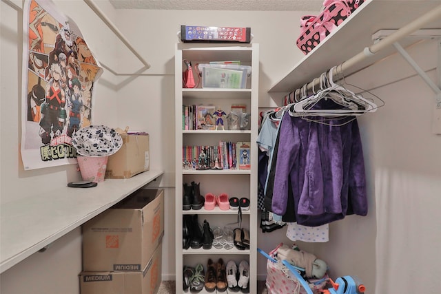 view of walk in closet