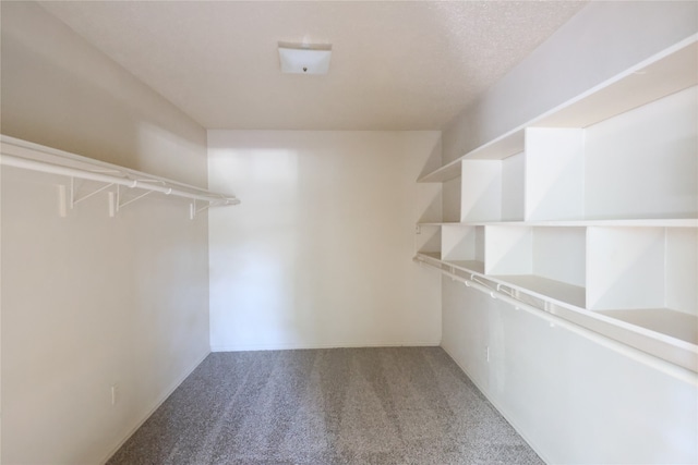 walk in closet with carpet